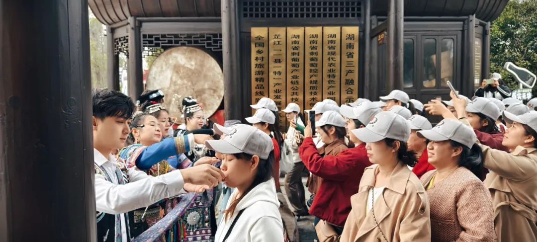 1742865006290788.jpg 7.jpg